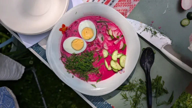 We Wrocławiu po raz pierwszy odbył się Festiwal chłodnika